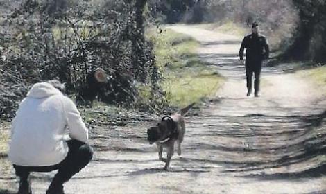 Pericolo esche: vetro a pezzi e veleno nei bocconi. Scattano controlli e sequestri