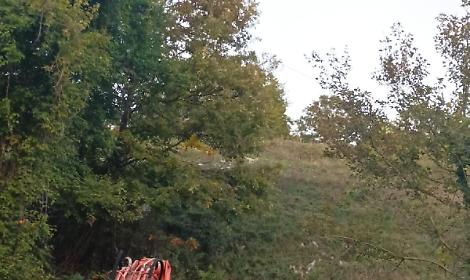 Perde il controllo dell'auto e vola gi&ugrave; nella scarpata. Donna miracolata