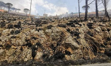 Incendio a Madonna delle Macchie. Vigili del fuoco e protezione civile al lavoro per domare le fiamme