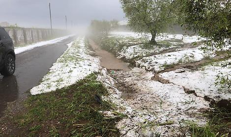 Sos grandine sulle colture scampate alle alte temperature