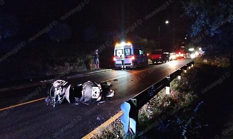 Si scontra con lo scooter contro un cinghiale e finisce in ospedale