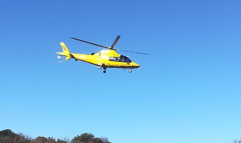Auto contro un cancello, due persone ferite. Eliambulanza sul posto