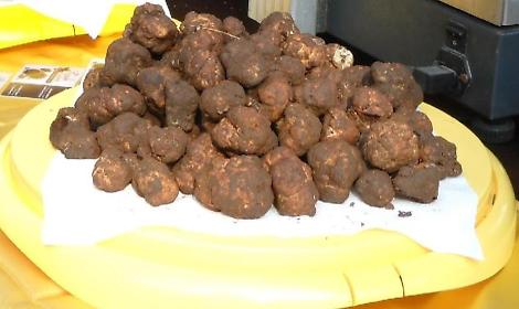 Percorsi enogastronomici, dimostrazioni e musica. Festa per sua maest&agrave; il tartufo