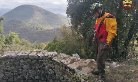 Bovino scivola in un pozzo di sei metri. Lunga operazione di salvataggio dei vigili del fuoco