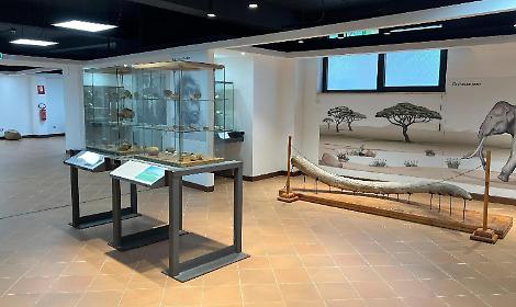 Il museo archeologico e il valore del territorio