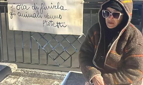Le investono sei gatti e le avvelenano i cani. La protesta della signora Tiziana Monti