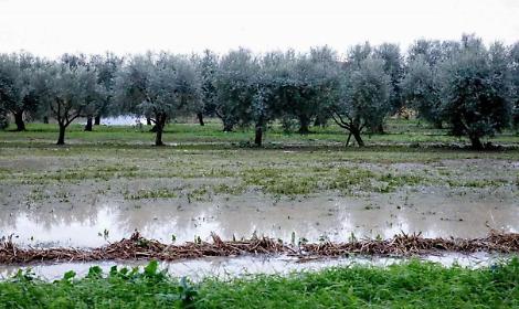 Danni milionari dagli eventi estremi