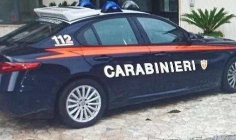 Investe un cinghiale con l'auto