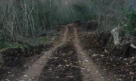 Ippovia ripristinata. Il percorso riaperto al turismo nella natura