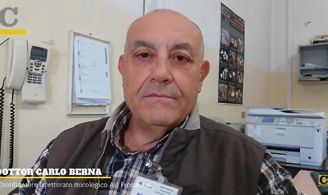 Funghi, s&igrave; al gusto ma senza rischi per la salute: le regole da seguire