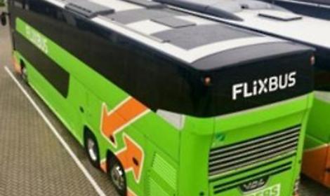 Flixbus e Cialone insieme per formare e assumere nuovi autisti