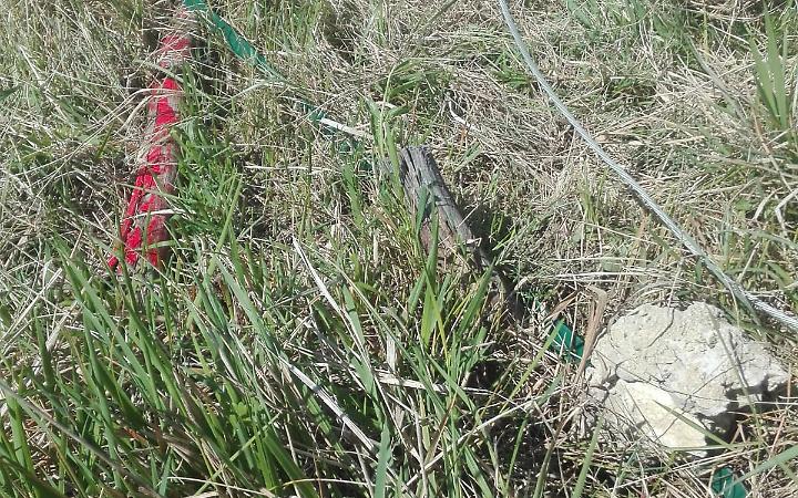 Terreno nel mirino dei vandali, scatta la denuncia