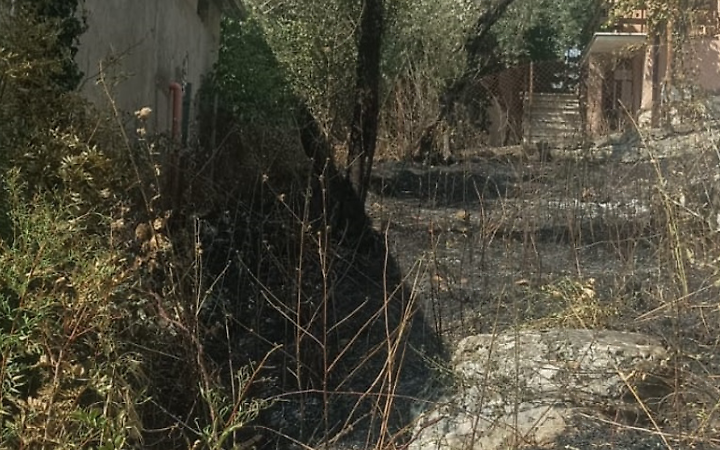 Cinquanta ettari di verde a fuoco. Identificato il responsabile