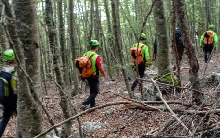Mangiano funghi velenosi: padre e figlio intossicati