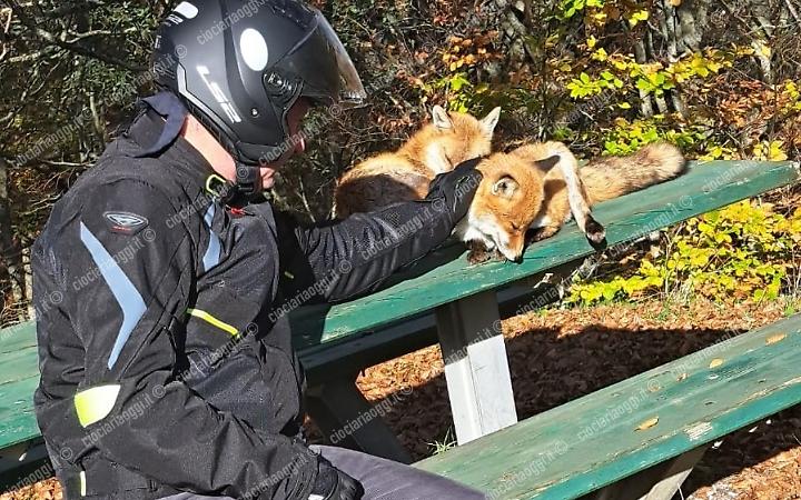 Un incontro speciale per due motociclisti