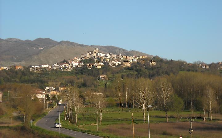 Inseguita da un lupo, &egrave; allarme