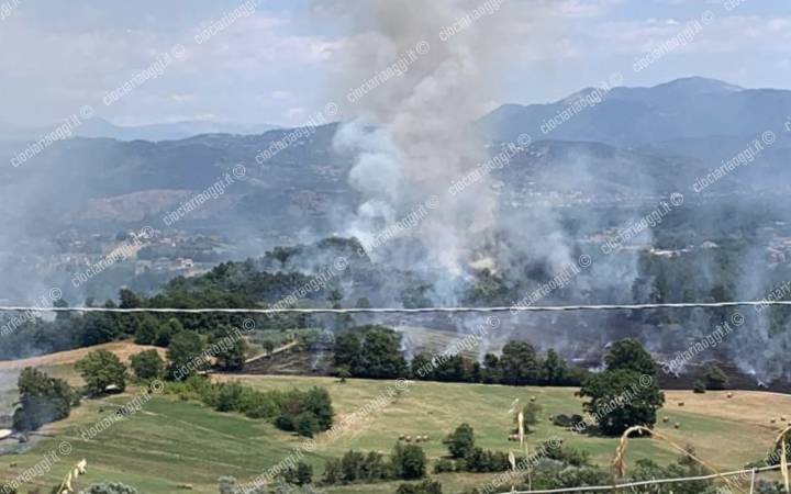 Fiamme tra Ripi, Strangolagalli e Ceprano. Vigili del fuoco in azione