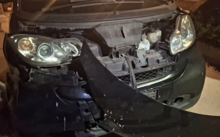 Cinghiale contro una Smart: paura in localit&agrave; Colle Ceraso