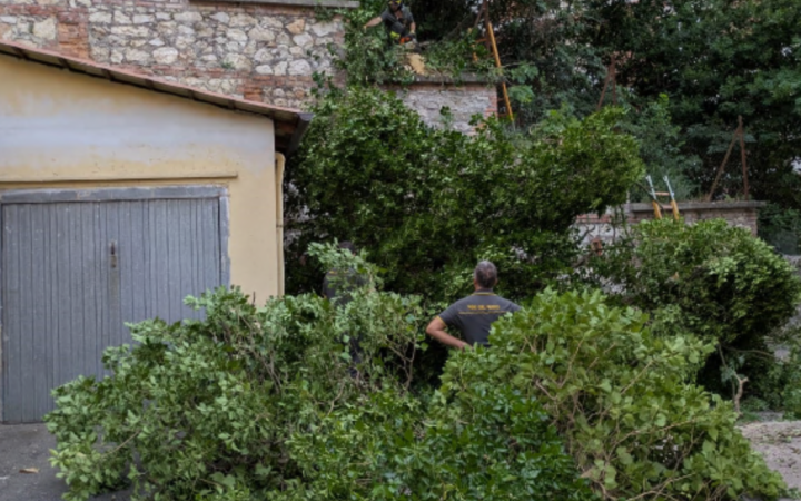 Cade un albero su un condominio. Notte di paura in viale Mazzini