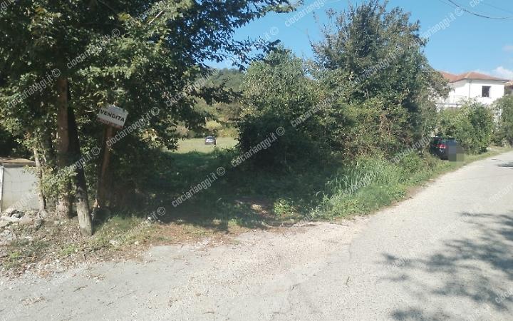 Trovati resti umani. Attesa per l'esame del Dna