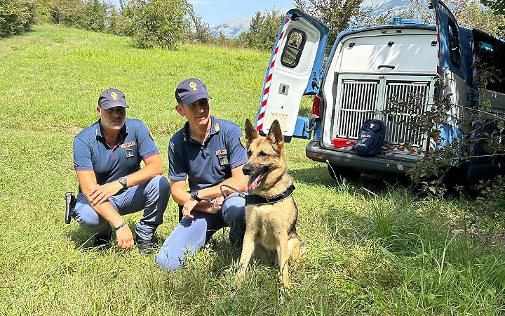 Luna ritrova il cranio e il tronco