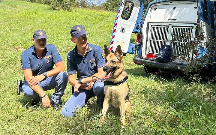 Resti umani trovati nel campo. Al lavoro i cani molecolari