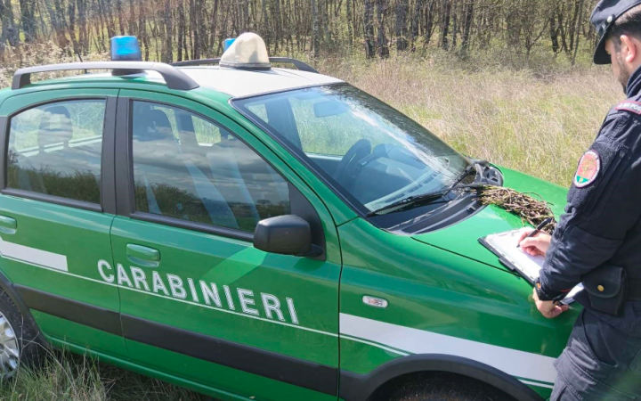 Rifiuti abbandonati. Sessantenne denunciato
