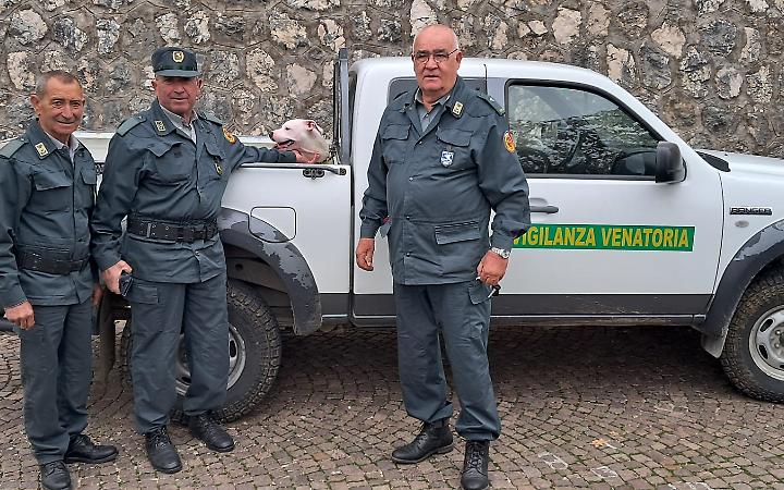 Pitbull legato a una panchina in localit&agrave; Fraioli: salvato dalle guardie venatorie