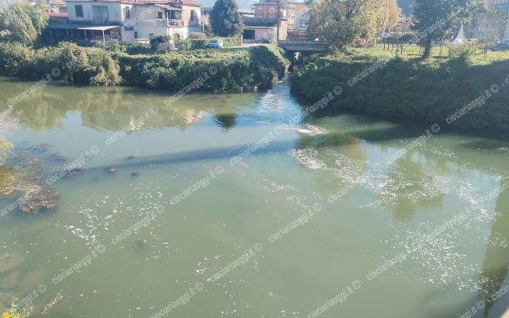 Nuova schiumata nel Fibreno: al lavoro le autorit&agrave;