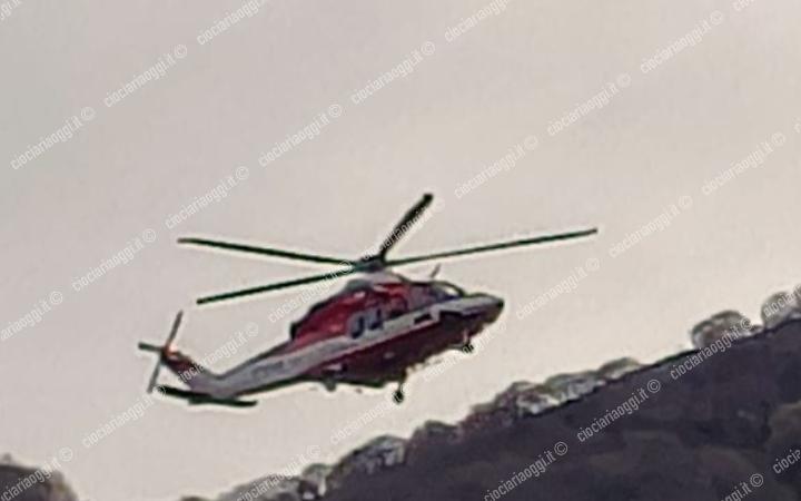 Cade una mucca in un canale sul Monte Prato: impegnati i vigili del fuoco