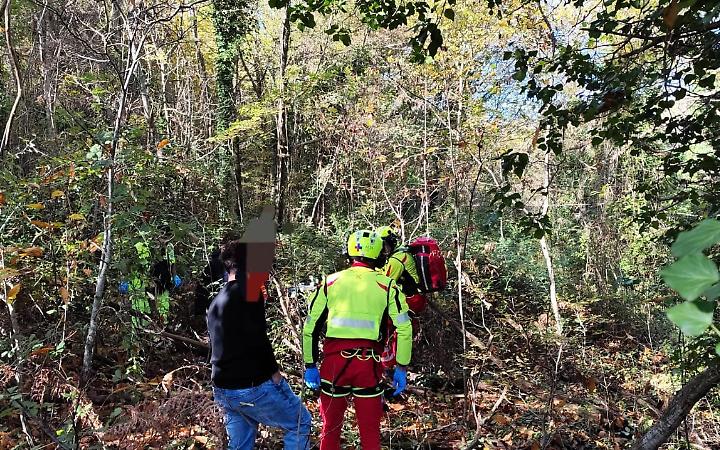 &ldquo;Tutela della fauna e sicurezza dei cittadini: una priorit&agrave;&rdquo;: la posizione dell'Ansmi