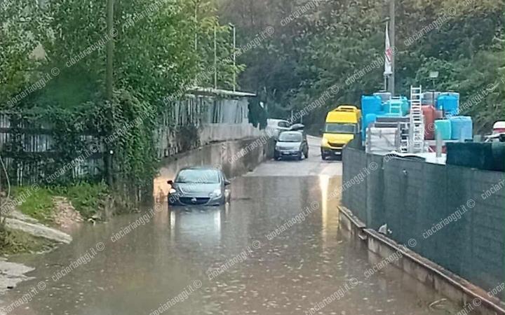 Allagamenti, alberi caduti e crolli: disagi in tutta la provincia