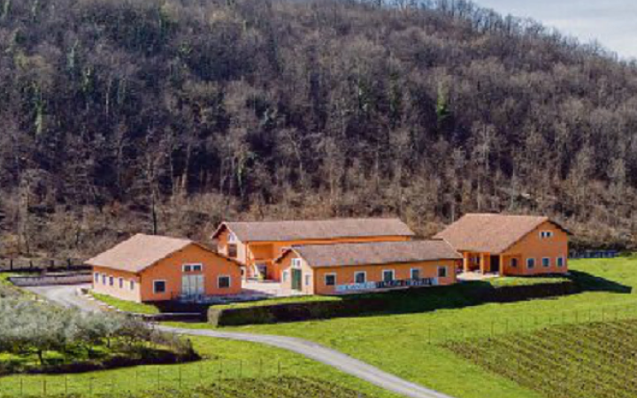 Turismo, gli operatori fanno rete: decolla &ldquo;Ciociaria Bedrooms&rdquo;