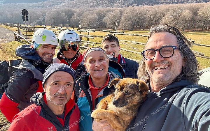 Rimane per otto giorni in mezzo alla neve: salvato un cagnolino