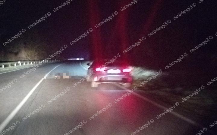 Cinghiale investito lungo la via Anticolana: auto danneggiata