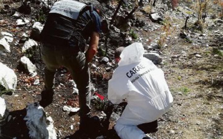 Crescono i reati ambientali