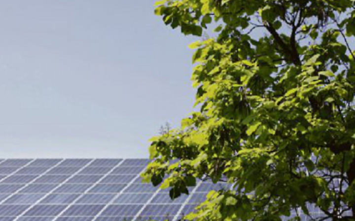 Agricoltura sempre pi&ugrave; green