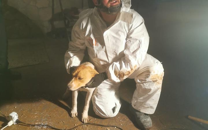 Cagnolino salvato dai vigili del fuoco dopo ore di paura: l'intervento 