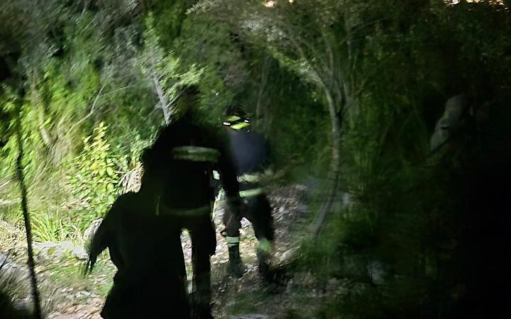 Si perde nel bosco spaventato dai cinghiali. Paura per un giovanissimo