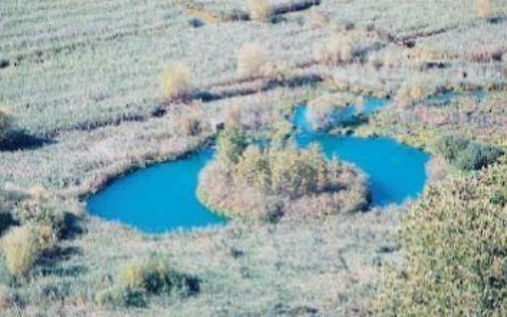 La Rai arriva a Posta Fibreno: speciale sull'isola galleggiante