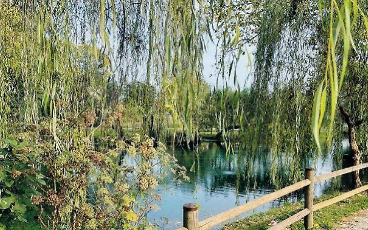 Niente pi&ugrave; rifiuti nel laghetto. L&rsquo;iniziativa