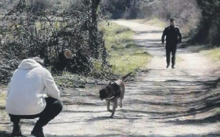 Pericolo esche: vetro a pezzi e veleno nei bocconi. Scattano controlli e sequestri