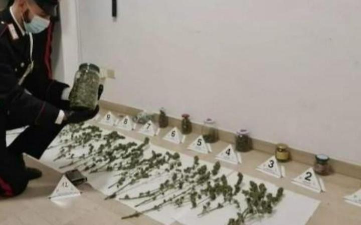 Preso con oltre 500 grammi di droga: assolto. Era per uso personale