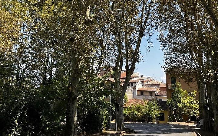 Alberata, Terme, Parco: tempi indefiniti