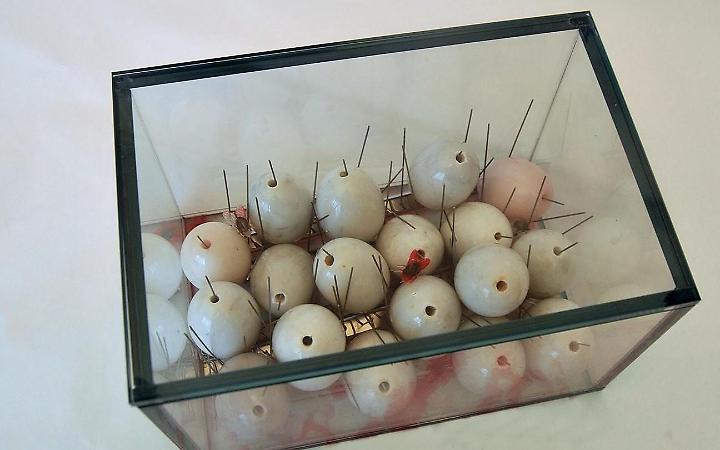 Il &ldquo;Futuro anteriore&rdquo; di Carla Crosio