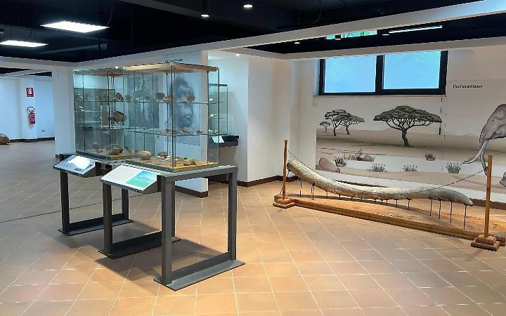 Il museo archeologico e il valore del territorio