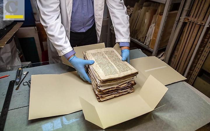 La Fabbrica di San Pietro: i documenti, gli scaffali, le opere e le sale